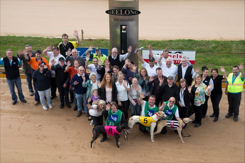 Geelong Greyhound Racing Club - The Beckley Centre - Kawana Tourism 0