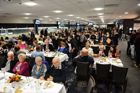 Geelong Greyhound Racing Club - The Beckley Centre - Kawana Tourism 1