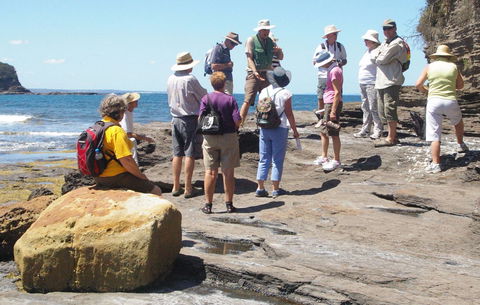 Gondwana Coast Fossil Walk - Kawana Tourism 0
