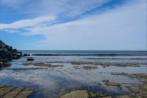 Gondwana Coast Fossil Walk - Kawana Tourism 1