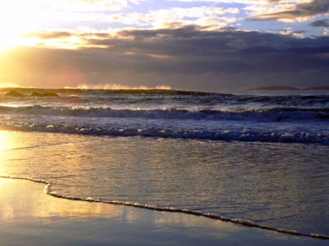 Handkerchief Beach Picnic Area - Kawana Tourism 0