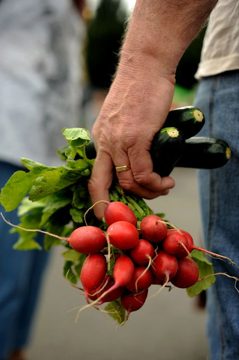 Harvest Launceston Community Farmers' Market - Kawana Tourism 1