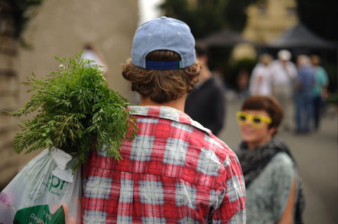 Harvest Launceston Community Farmers' Market - Kawana Tourism 2