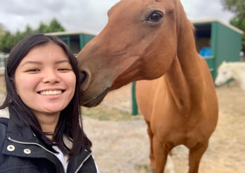 Horses Teaching Humans - Kawana Tourism 0