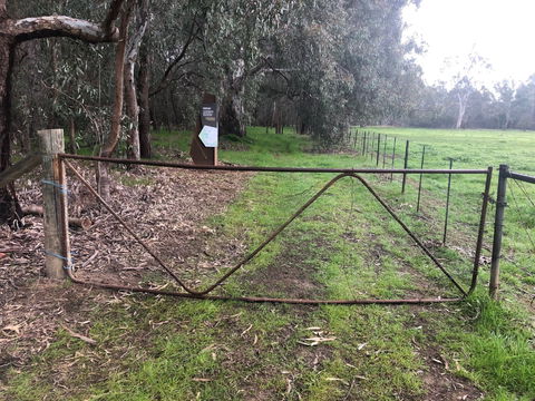 Horseshoe Lagoon Reserve - Kawana Tourism 1
