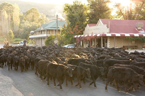 Jugiong - Kawana Tourism 0