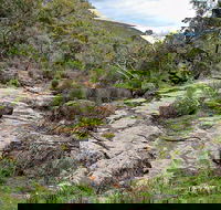 Lynchs Loop Trail - Kawana Tourism
