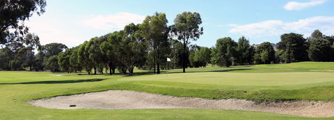 Mansfield Golf Club - Kawana Tourism 0