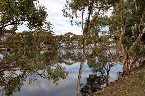 Merredin Railway Dam - Kawana Tourism 0