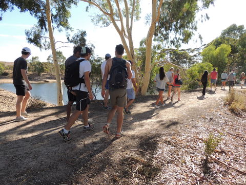 Merredin Railway Dam - Kawana Tourism 1