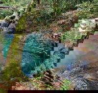 Mobong walking track - Kawana Tourism