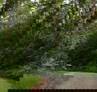 Moonpar Forest drive - Cascade National Park - Kawana Tourism