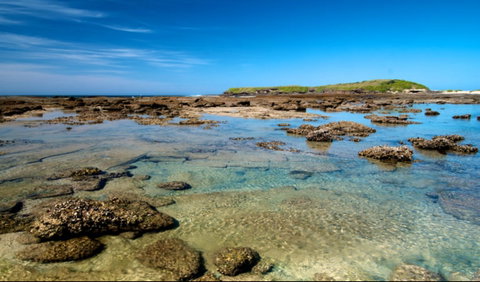 Moonee Beach Trail - Kawana Tourism 0