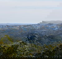 Mount Crawford Forest Reserve - Kawana Tourism