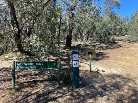 Mt Everard Circuit - Kawana Tourism 1
