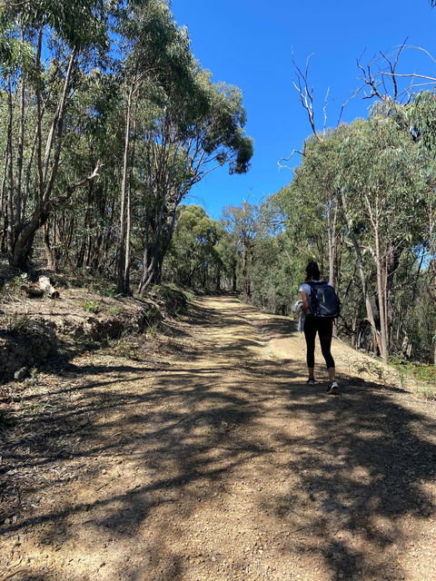 Mt Everard Circuit - Kawana Tourism 2