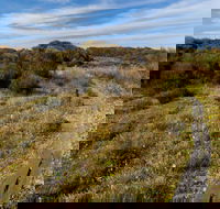 Murramarang Aboriginal Area Walking Track - Kawana Tourism