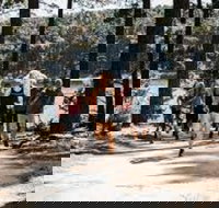 Myponga Reservoir Trail - Kawana Tourism