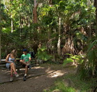 Palms picnic area - Kawana Tourism