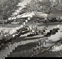 Pioneer Park - Kawana Tourism