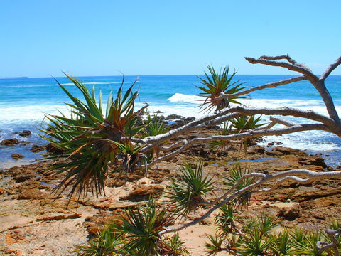 Rocky Point - Kawana Tourism 1