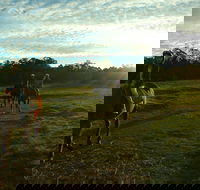 Scenic NSW Horse Riding Centre - Kawana Tourism