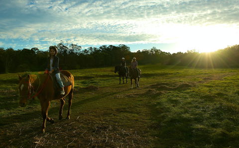Scenic NSW Horse Riding Centre - Kawana Tourism 0