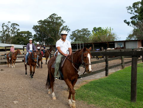 Scenic NSW Horse Riding Centre - Kawana Tourism 1