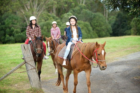 Scenic NSW Horse Riding Centre - Kawana Tourism 2