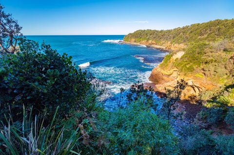 Shellgrit Beach (Red Head) - Kawana Tourism 0