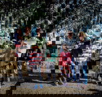 State Forests of the Watagan Mountains - Kawana Tourism