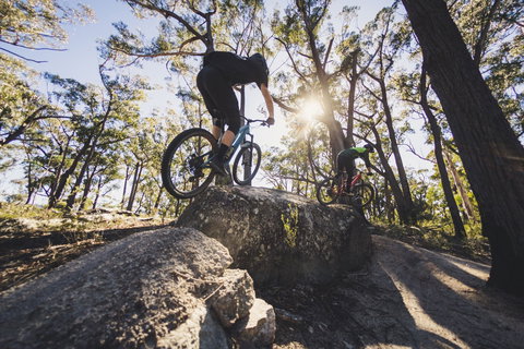 St Helens Mountain Bike Trails - Kawana Tourism 1