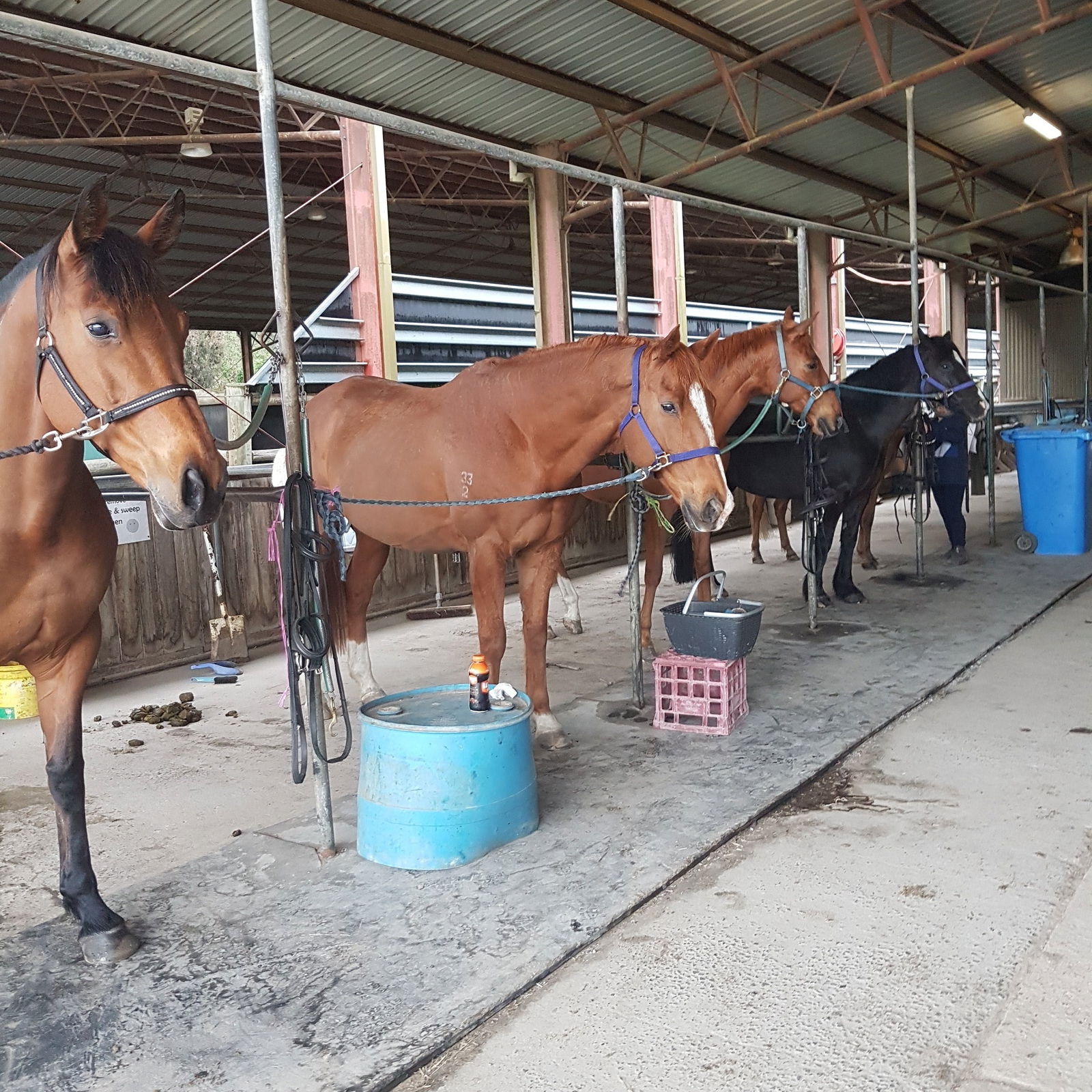 Cranbourne South VIC Kawana Tourism