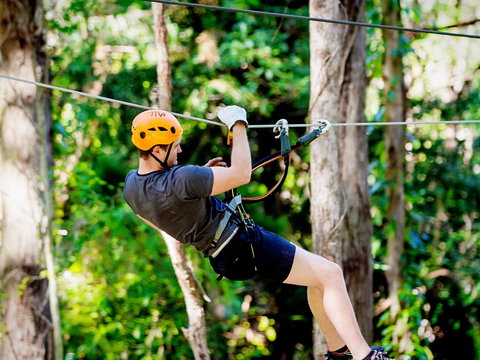 TreeTop Challenge Currumbin Wildlife Sanctuary - Kawana Tourism 0