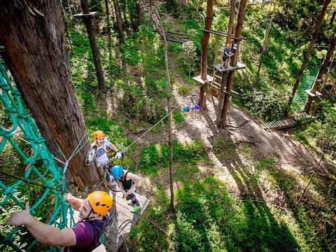 TreeTop Challenge Currumbin Wildlife Sanctuary - Kawana Tourism 2
