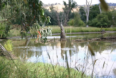 Tumut Wetlands - Kawana Tourism 0