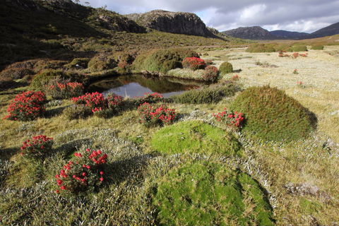 Walls Of Jerusalem National Park - Kawana Tourism 1