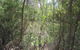 Wangaratta Common Nature Conservation Reserve - thumb 0