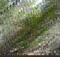 Wangaratta Common Nature Conservation Reserve - Kawana Tourism