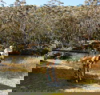 Wild Valley Art Park - Kawana Tourism