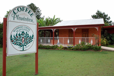 Wombah Coffee Plantation - Kawana Tourism 0
