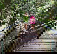 Wonga Walk - Kawana Tourism