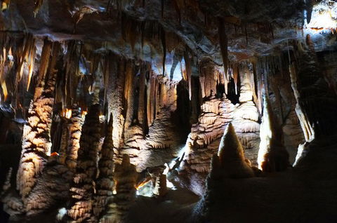 Jenolan Caves: Orient Cave Tour - Kawana Tourism 2