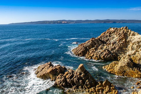 Beaches Of Eden Photographic Discovery Tours - Kawana Tourism 6