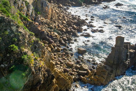 Beaches Of Eden Photographic Discovery Tours - Kawana Tourism 21