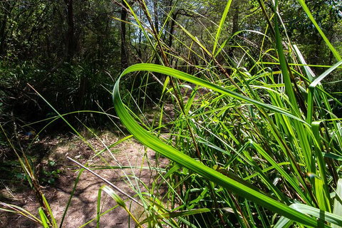 Beaches Of Eden Photographic Discovery Tours - Kawana Tourism 22