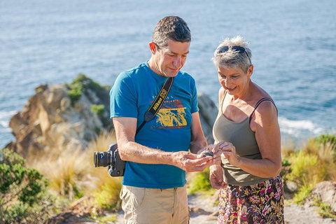 Beaches Of Eden Photographic Discovery Tours - Kawana Tourism 18