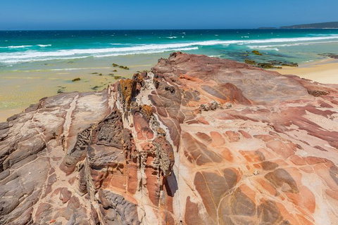 Beaches Of Eden Photographic Discovery Tours - Kawana Tourism 16