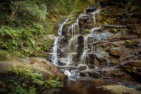 Ultimate Blue Mountains Waterfalls, Walks & Sunset PRIVATE Tour - Kawana Tourism 10