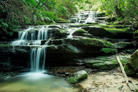 Ultimate Blue Mountains Waterfalls, Walks & Sunset PRIVATE Tour - Kawana Tourism 2